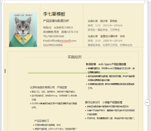 word简历模板6